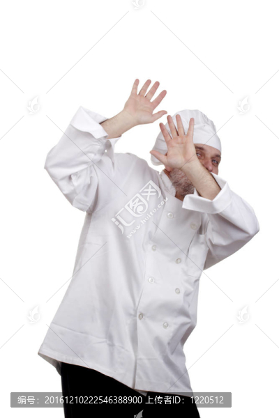 廚師的肖像