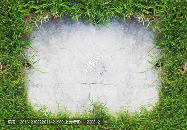 綠草框架與舊混凝土