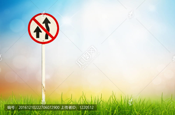 交通標志與清新春綠草