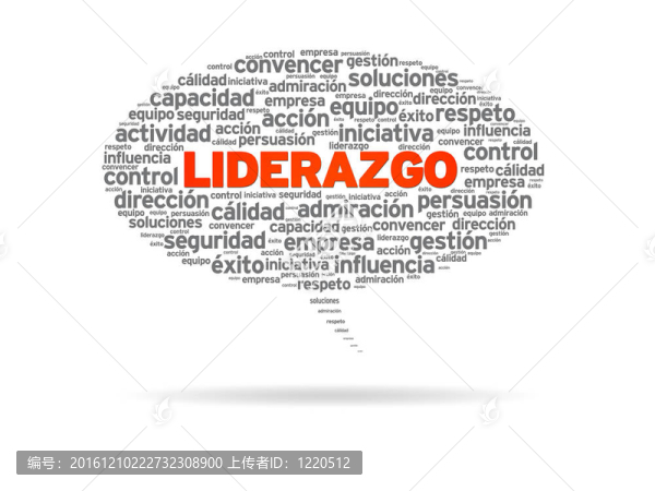 liderazgo