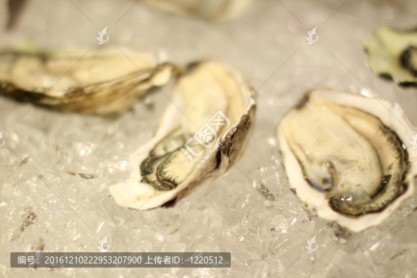 冷凍牡蠣