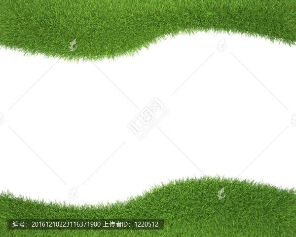 白色背景下的春草框架