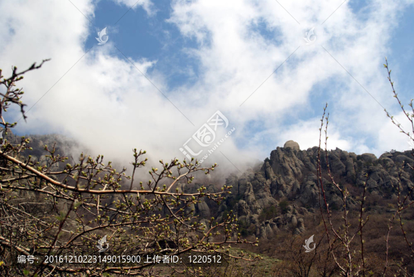山頂