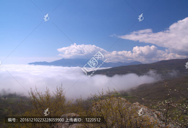 山