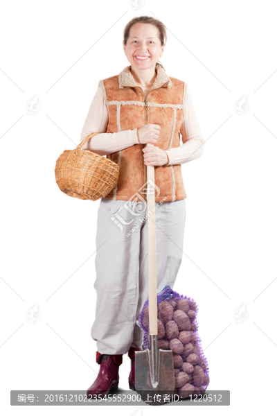 收獲馬鈴薯和鐵鍬的農(nóng)民