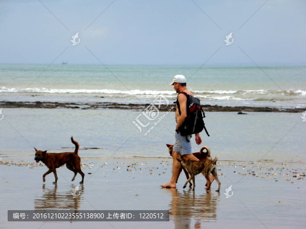 海灘上的男人和兩只狗；巴厘