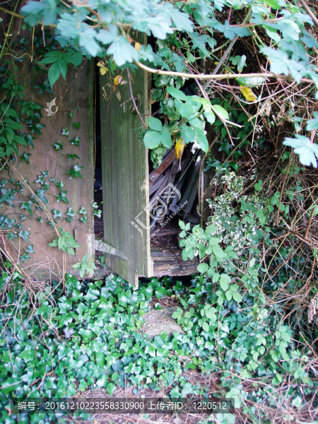 在花園小屋