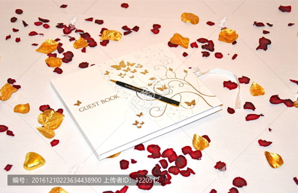 參加婚禮的客人的書(shū)