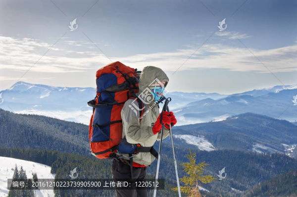 年輕女子的徒步旅行者在Karpatian徒步旅行