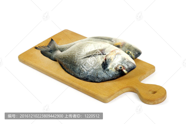 鲯鰍魚