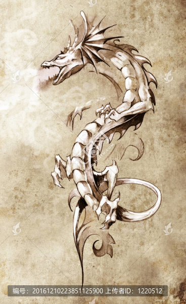 紋身藝術(shù)素描；大中世紀(jì)龍；幻想概念