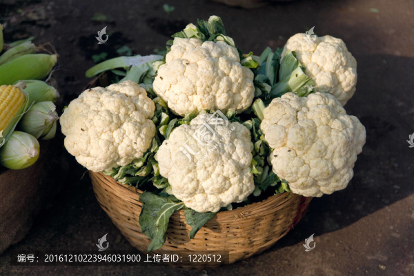菜花