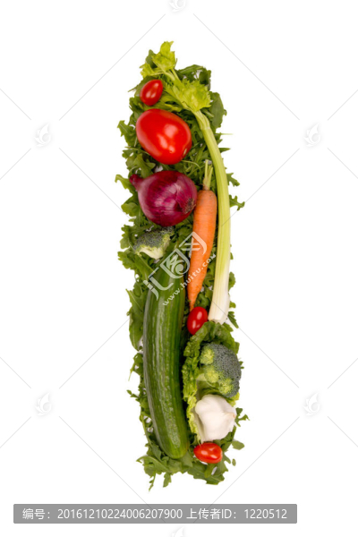 蔬菜的信