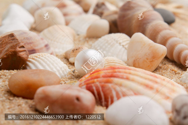 來自大海的寶藏
