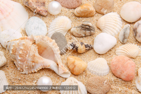 來自大海的寶藏