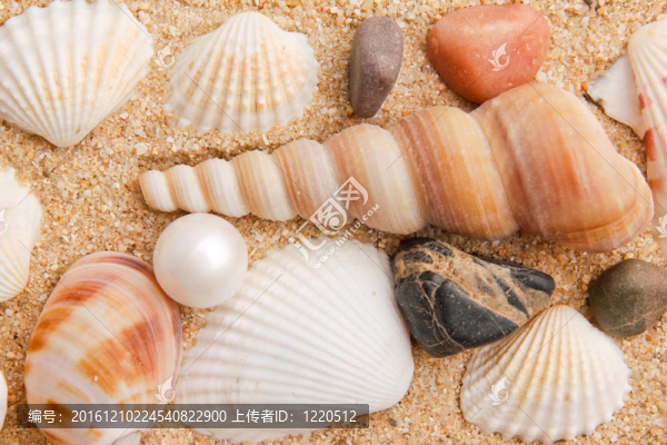 來(lái)自大海的寶藏
