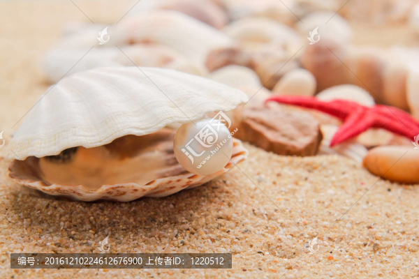 對貝殼珍珠。
