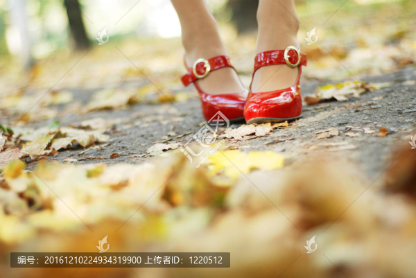樹(shù)葉和紅鞋