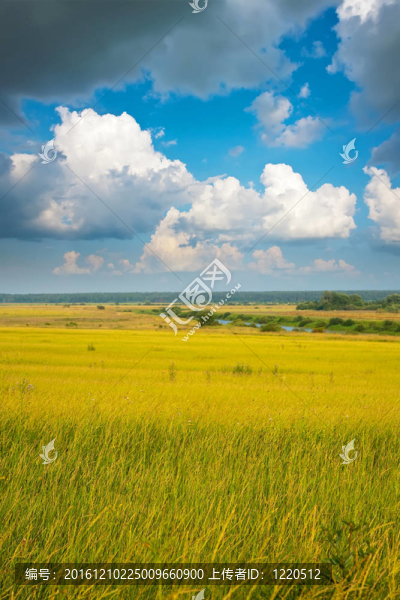 夏天的風(fēng)景