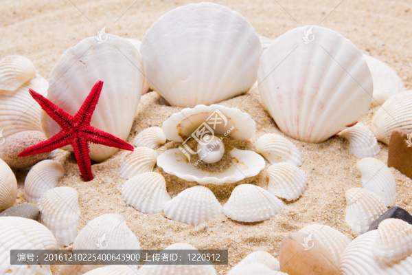 對(duì)貝殼珍珠