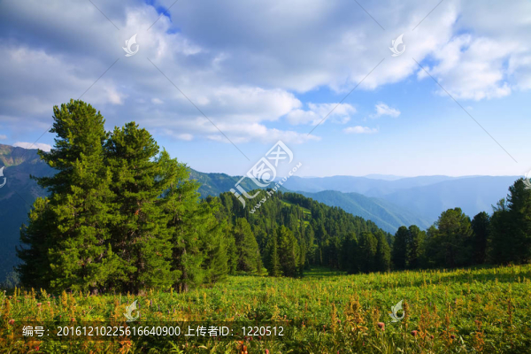 山地景觀