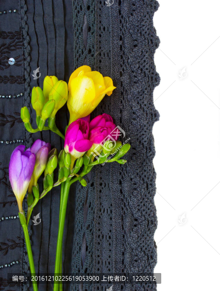蕾絲花邊