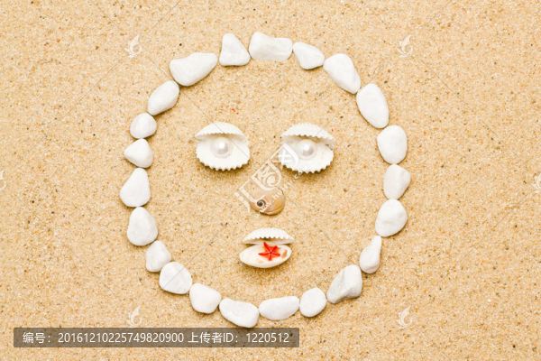 海灘上的貝殼
