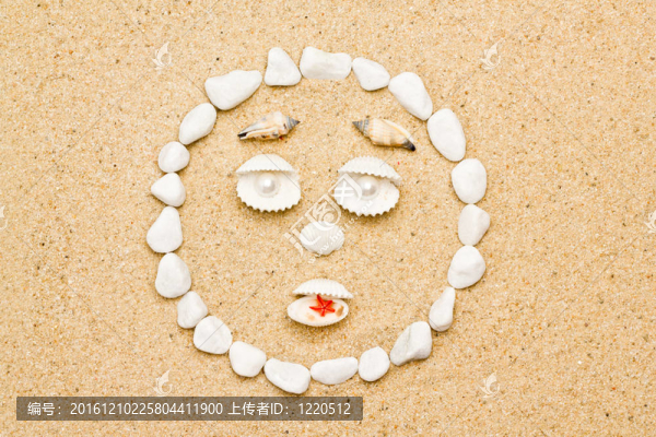 海灘上的貝殼