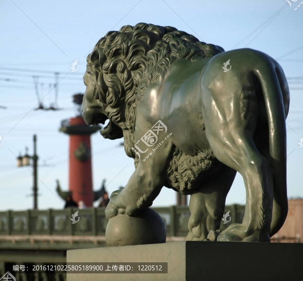 獅子。圣彼得堡；Rus