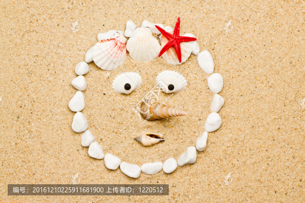 海灘上的貝殼