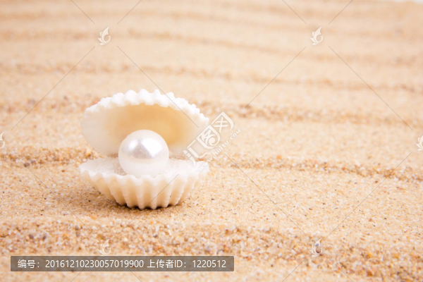 來(lái)自大海的寶藏