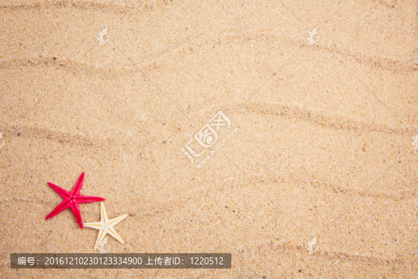 來自大海的寶藏