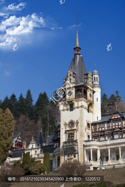 Peles,casle；Transylvania