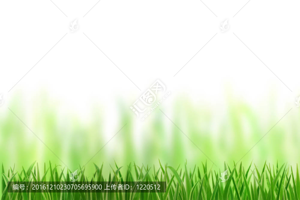 白底草