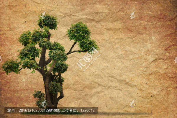 老垃圾紙復(fù)古背景樹