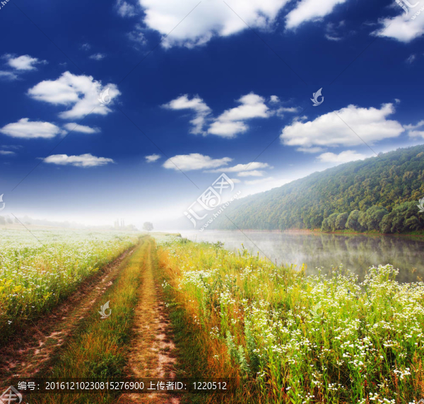 夏天的風(fēng)景