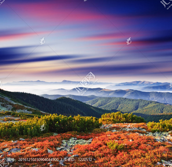 山地景觀