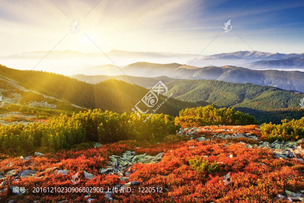 山地景觀