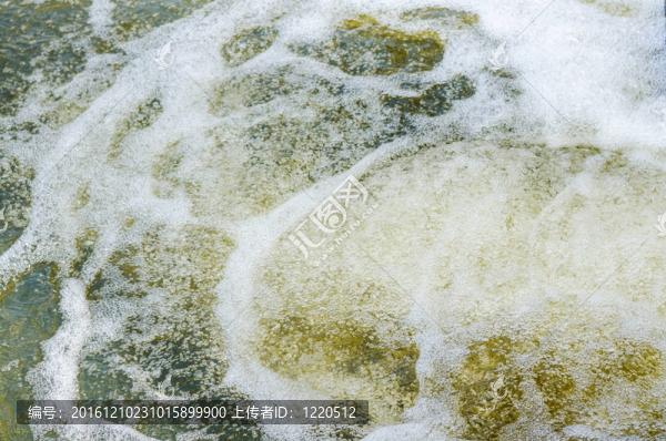 水池里的臟水