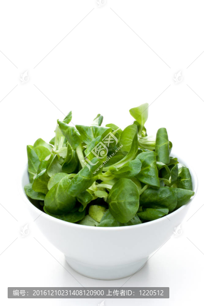 纈草葉沙拉