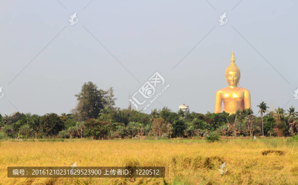 如來佛祖雕像；屈曼泰國