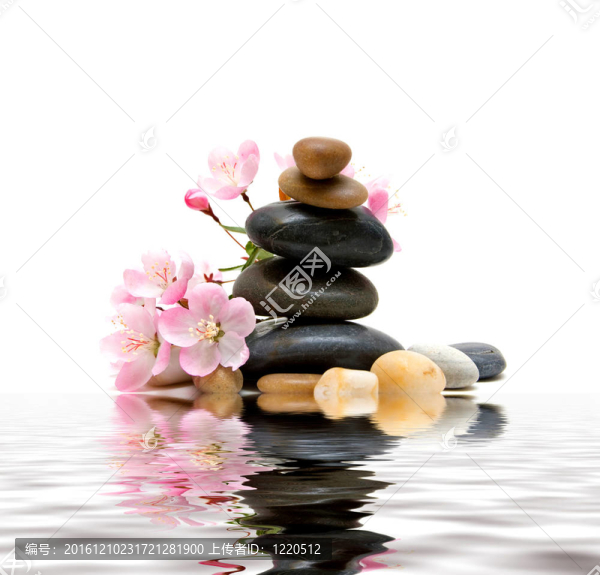 禪/溫泉石與花