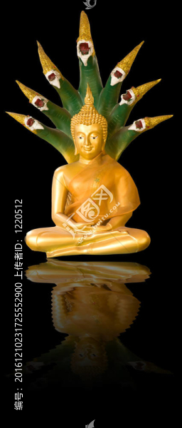 金菩薩