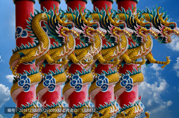 金色中國龍包裹著