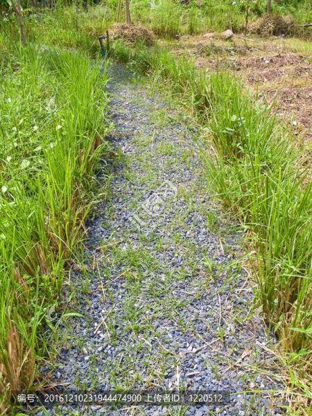 通路
