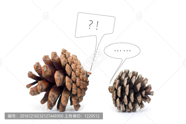 松果的對話