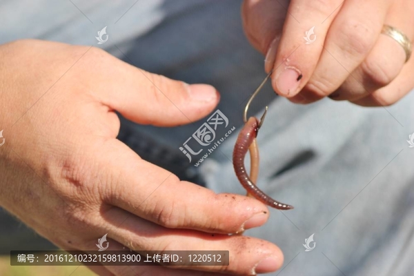 漁夫3