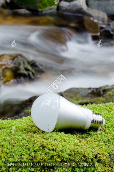 LED燈泡