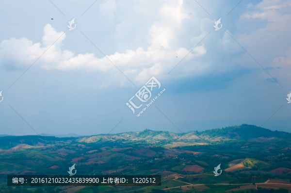 綠山森林景觀