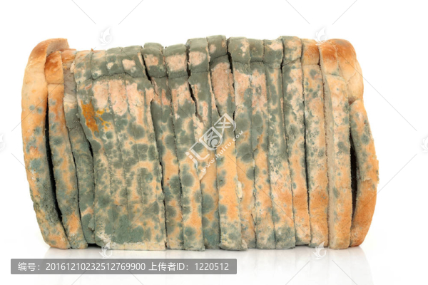 發(fā)霉的面包片